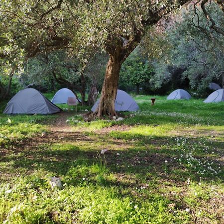 Hotel Gjipe Eco Campground Vuno Exteriér fotografie