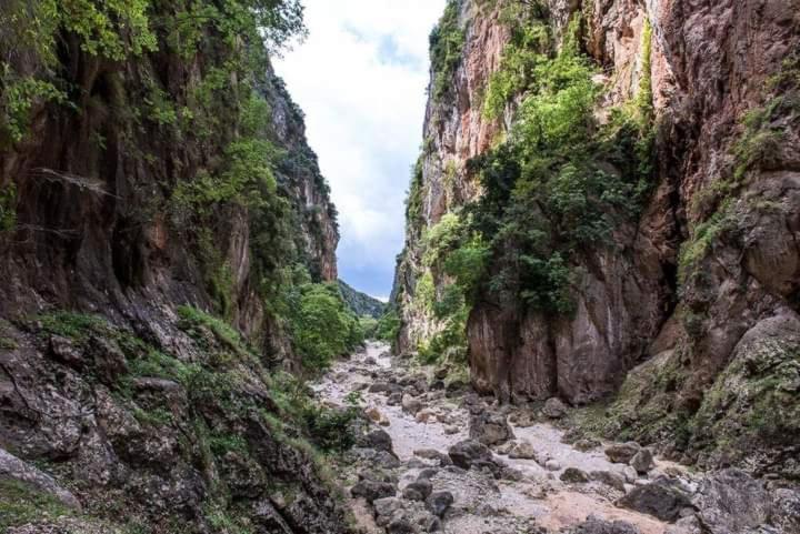 Gjipe Eco Campground Vuno Exteriér fotografie