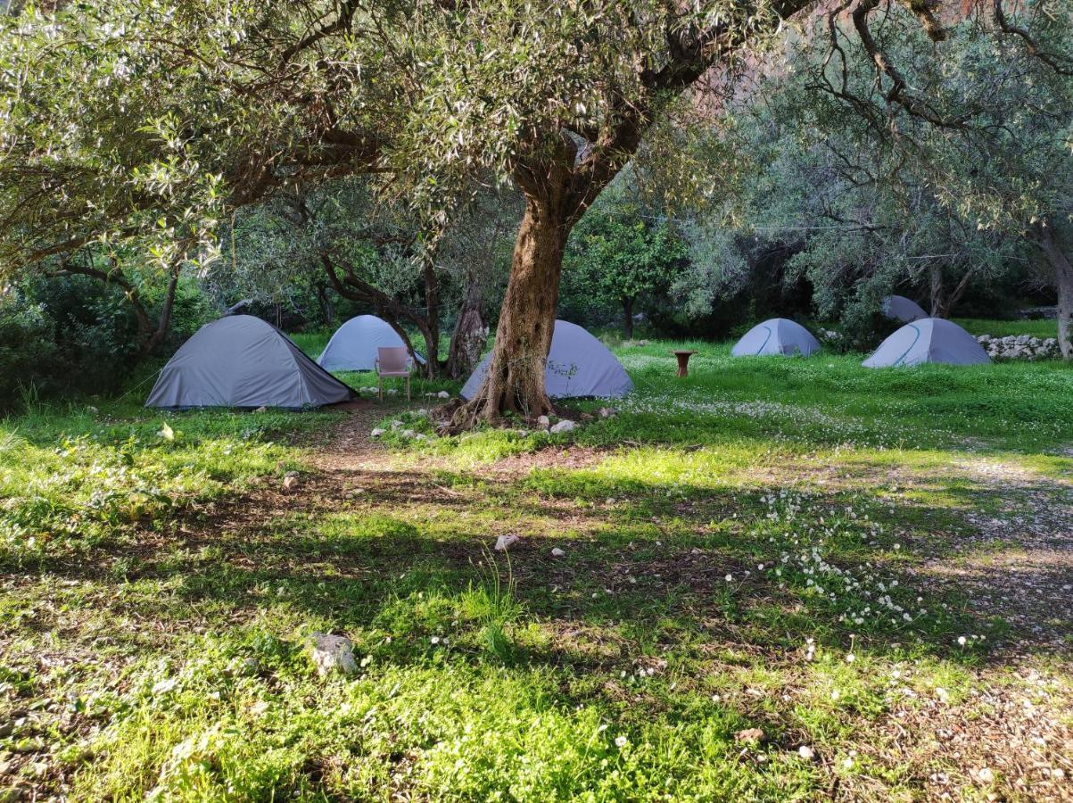 Gjipe Eco Campground Vuno Exteriér fotografie